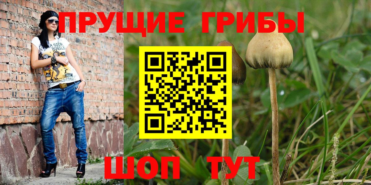 Псилоцибиновые грибы Cubensis  Вход с VPN  Галлюциногенные грибы ЛСД  Рубцовск 