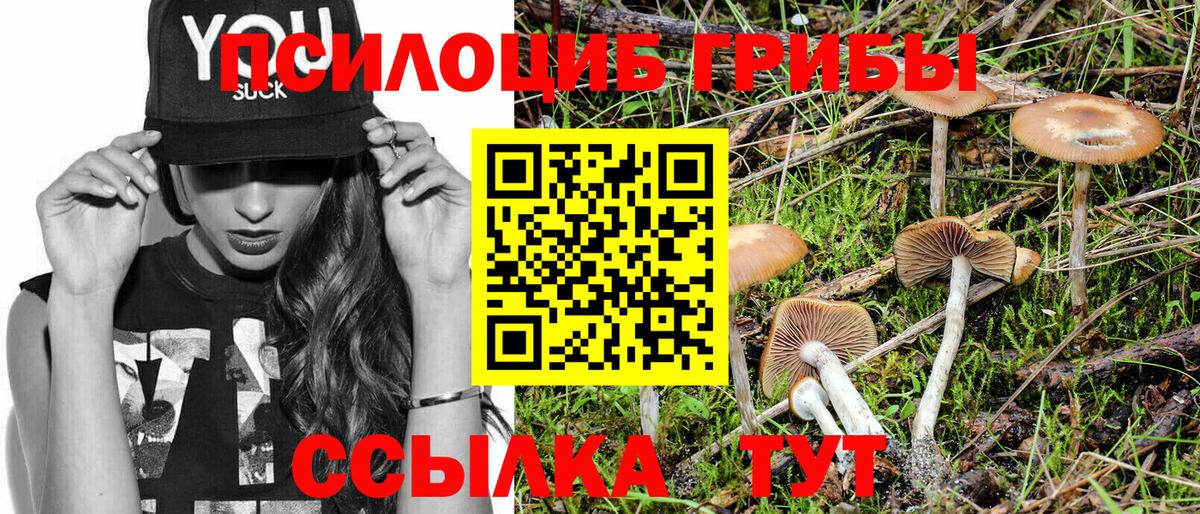 Галлюциногенные грибы GOLDEN TEACHER Рубцовск